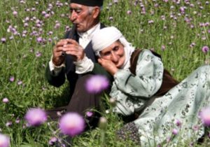 ازدواج سالمندان را جدی بگیریم