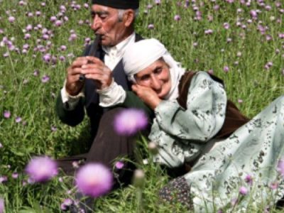 ازدواج سالمندان را جدی بگیریم