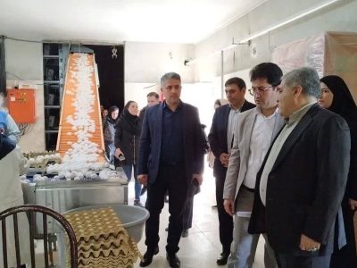تولید سالانه بیش از ۱۳ هزار تن تخم مرغ در آذربایجان غربی