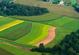 رفع تصرف بیش از ۶۸ هزار مترمربع از اراضی ملی خوزستان