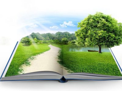 محیط زیست؛ چالشها و راهکارها