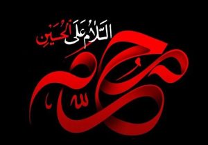 آمادگی خادمان امامزادگان شهرستان شیراز برای استقبال از ماه محرم