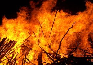 آتش به جان بهار فارس ، دولت در خواب زمستانه!