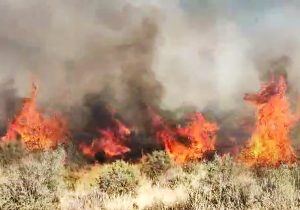 دلم می سوزد و کاری زدستم برنمی آید