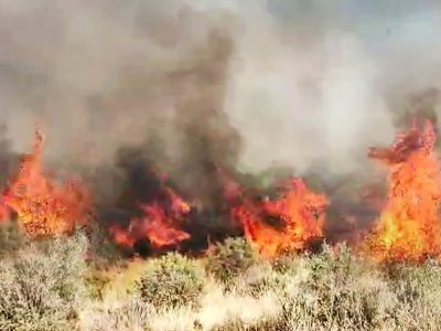 دلم می سوزد و کاری زدستم برنمی آید