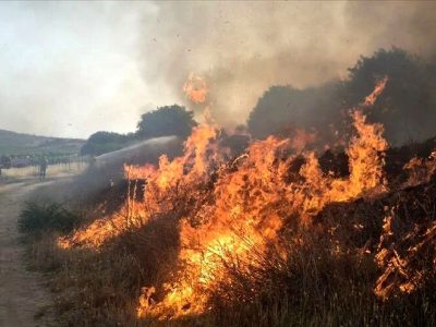 پارک ملی بمو در آتشِ جنگ!