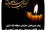 پیام مدیرعامل سازمان منطقه آزاد انزلی در پی اقدام تروریستی رژیم صهیونیستی: