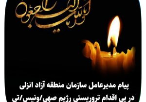 پیام مدیرعامل سازمان منطقه آزاد انزلی در پی اقدام تروریستی رژیم صهیونیستی: