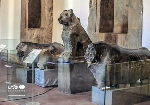 موزه داری زیر آتش جنگ!