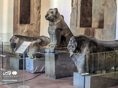 موزه داری زیر آتش جنگ!