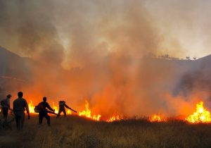 عروس خاکسترنشین زاگرس در چنگال سایه های مرموز