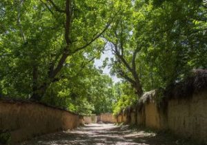 زد و بندها شیراز را سوزاند و کسی را به کسی نیست / روزی شهر گل و بلبل نام داشت و حالا برهوتی بی آب و بی باغ