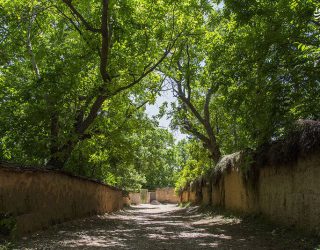 زد و بندها شیراز را سوزاند و کسی را به کسی نیست / روزی شهر گل و بلبل نام داشت و حالا برهوتی بی آب و بی باغ