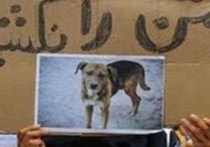 هیولاسازی نکنید ، آن ها هم حق زندگی دارند