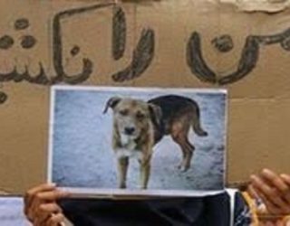 هیولاسازی نکنید ، آن ها هم حق زندگی دارند